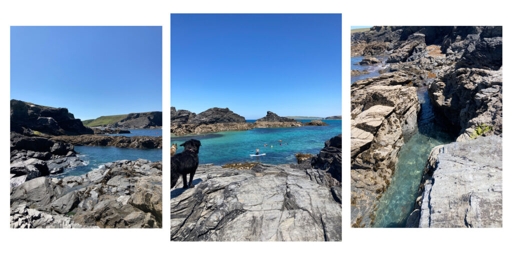 Three images showing the smooth grey rocks and turquoise waters of the Trescore Islands. Some paddleboarders float on the water and two dogs watch above.