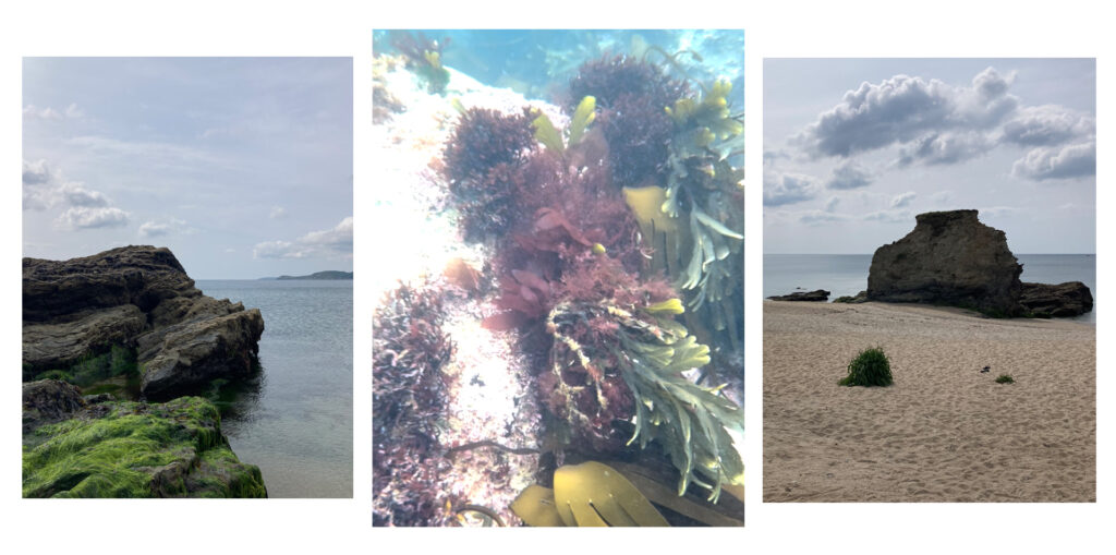 three shots of Carlyon beach - the rock, a close-up of mossy rock and colourful underwater seaweed.