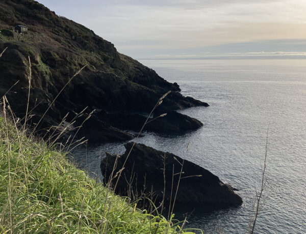 Photo of Portloe from above, with grass in the foreground, dark craggy rocks to the left and a pale sunrise over the sea.