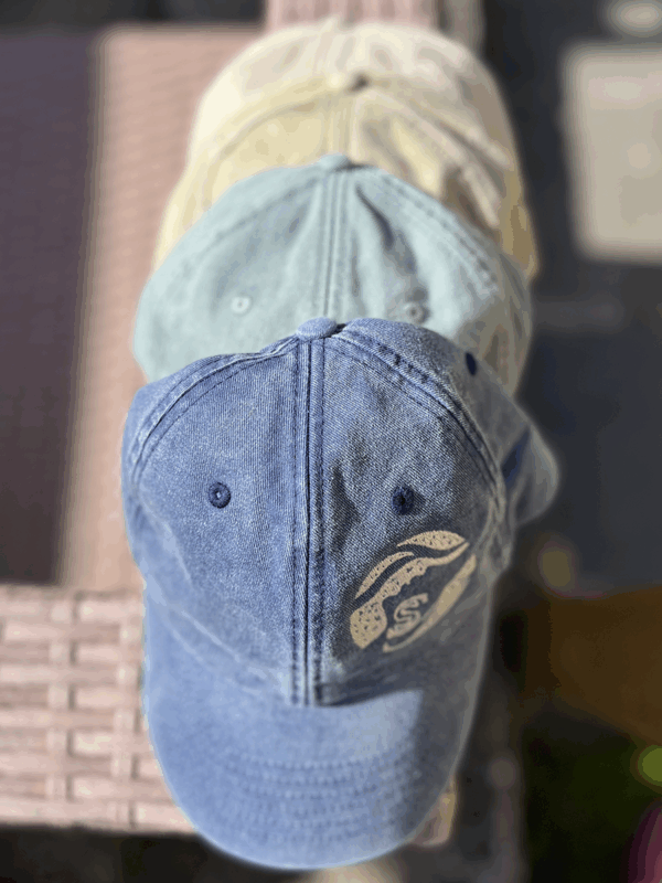 The Easy Cap
