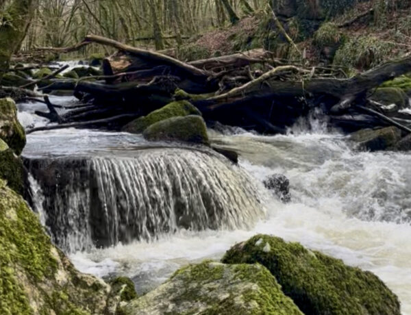 Beautiful waterfall at Goliath Falls. The water is white and the rocks are covered with green moss.