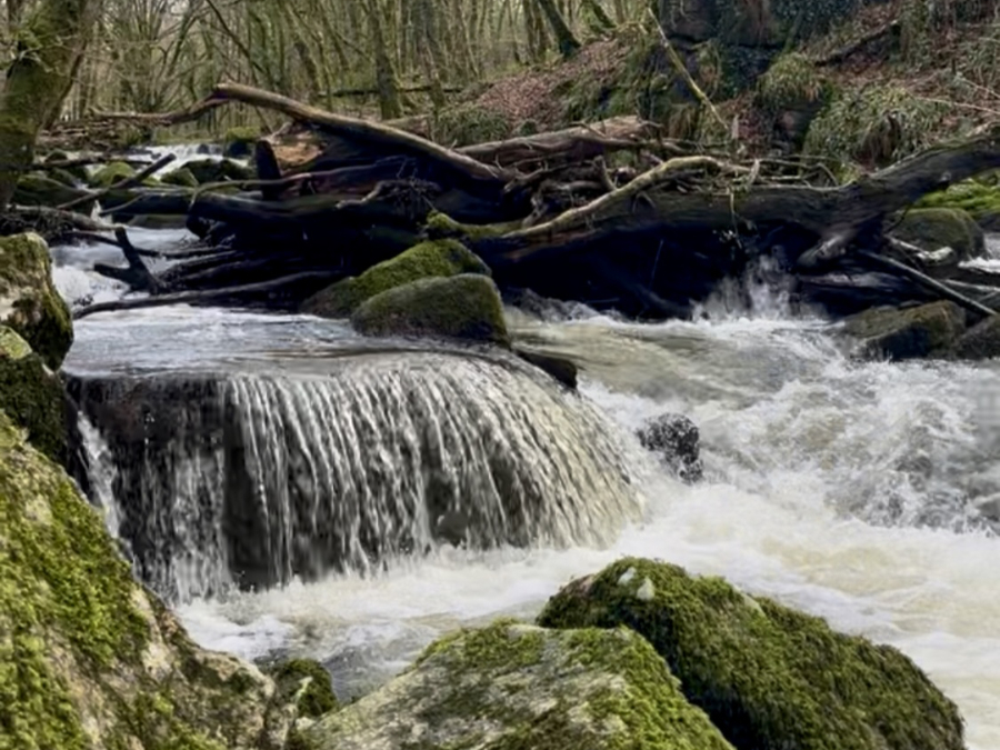 Beautiful waterfall at Goliath Falls. The water is white and the rocks are covered with green moss.
