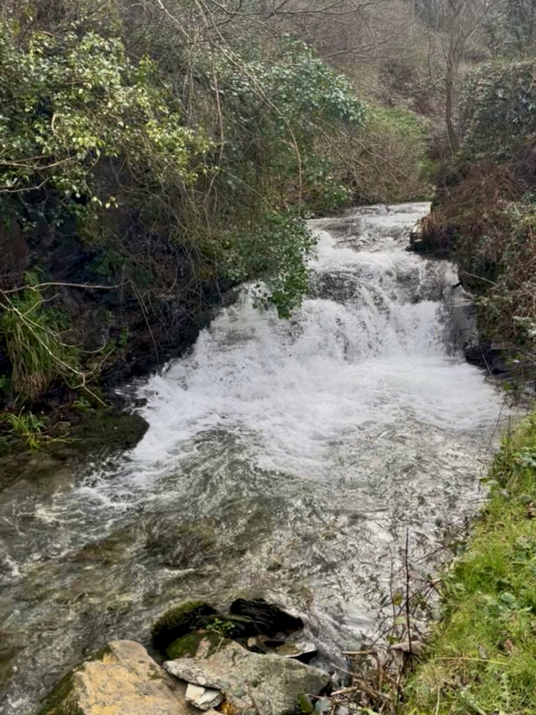 A bubbling waterfall white and frothy with trees either side and rocks in the foreground.