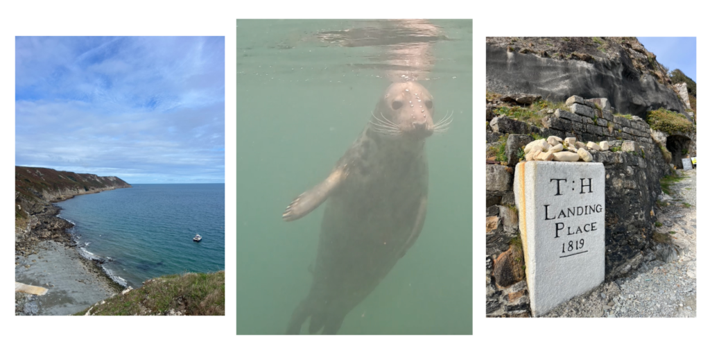 Three photos featuring Lundy Island and the Lundy seals. On the left, an aerial shot of a beach and blue sea, with grassy headland behind. In the centre an underwater image of a seal looking at the camera, and on the right, a photo of the stone marked 1819 Landing Place with rocks behind.