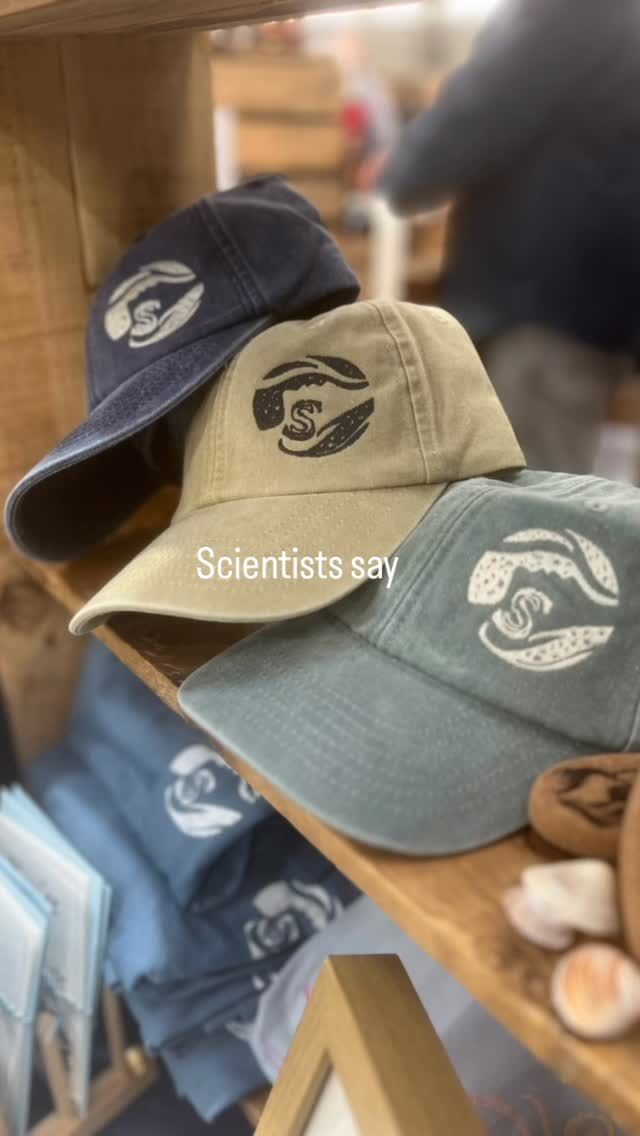 I mean, it sounds right? 🤔 

(don’t quote me on that tho!) 

I’ll be bringing all the hats to the gorgeous Christmas Fayre at the Bedruthan Hotel this weekend. Beanies in all colours and caps too. 

It’s always such a lovely festive event and it looks like there are a TONNE of fantastic stalls. 

10-5 Sat and Sun £2 which includes a free shuttle bus from Mawgan Porth.

🛍️🎄💕

#beanie #cosy #cold #winteriscoming #toastybeanie #ruthpocock #sistersofthesea #seasisters #coast #ocean #sea #swimming #surfing #coldwater #diving #shopsmall #sistersoftheseauk #newquay #cornwall #coastalliving #bedruthanhotel #createcornwall