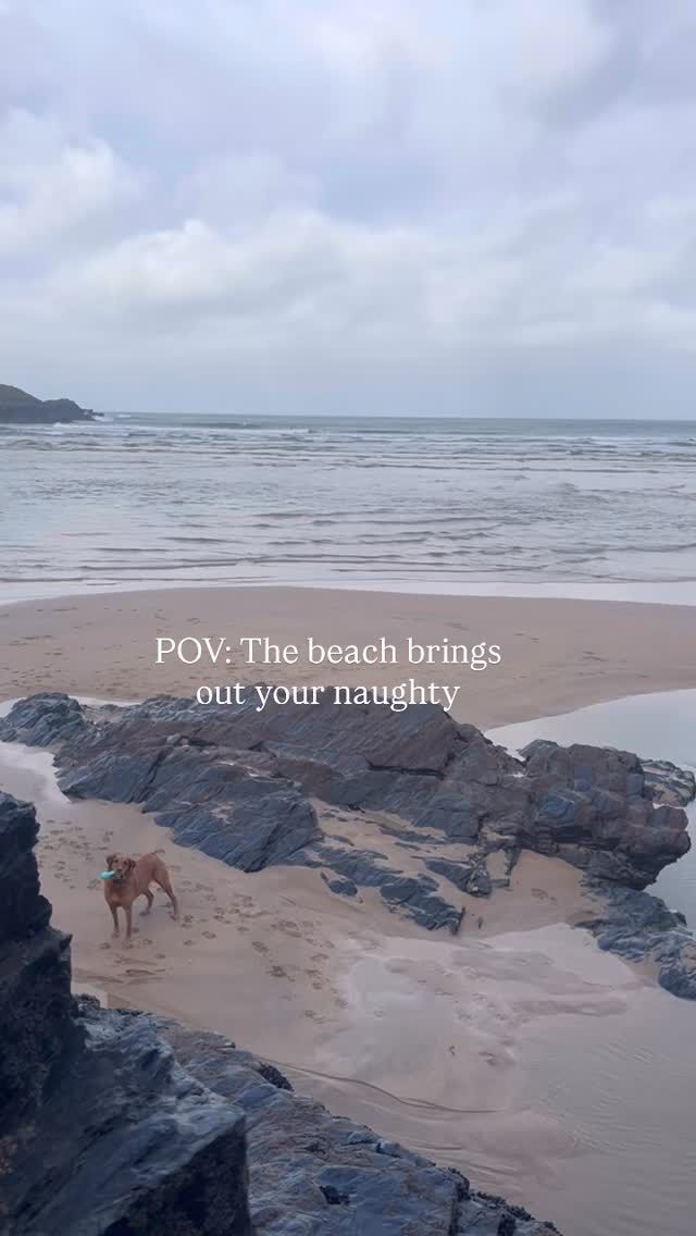 Just five more minutes! 🐾 

The freedom, the beauty, the air, the smells. 

A trip to the beach is something you never want to end. 

#beach #coast #newquay #sistersofthesea