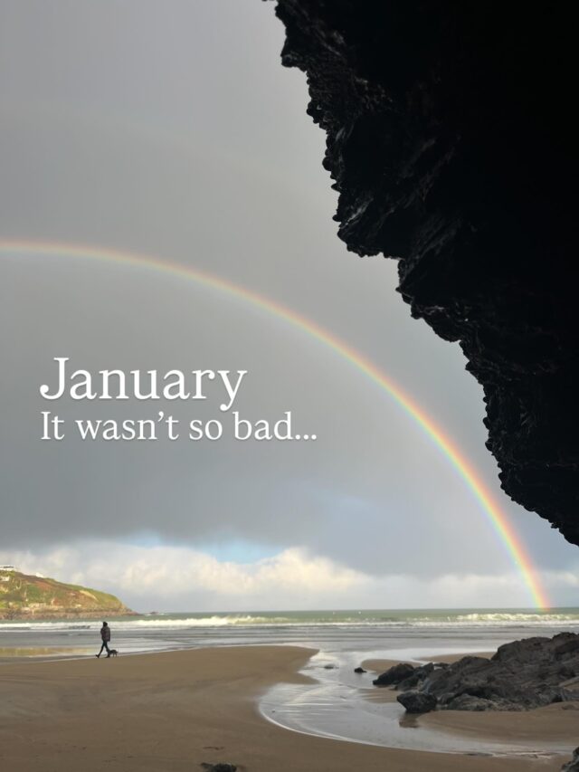 Ok January wasn’t SO bad was it. Scroll to the end for my actual triumph 😄🏆

1. A trip to snowy Oxfordshire with my parents and siblings.
2. My brother’s amazing yorkies 😋 
3. Sick of reynaud fingers from cold steering wheel so I treated myself. So stylish!
4. Lovely day with my two girls watching Matilda.
5. Can’t wait to see my new vest design all printed up. 
6. Blissfully calm swim at Trelissick.
7. Love an antique rummage with my fave @wild_free_bythesea 
8. Winter=empty beaches 👌 
9. The morning skies have been stunning.
10. And so many rainbows.
11. The water is pretty fresh right now!
12. SO PROUD - I finally managed an invert with @altitude.aerial.arts cheering me on always. 

Bring on Feb!

🌊💙

#januaryroundup #swim #newquay #sistersofthesea #proud