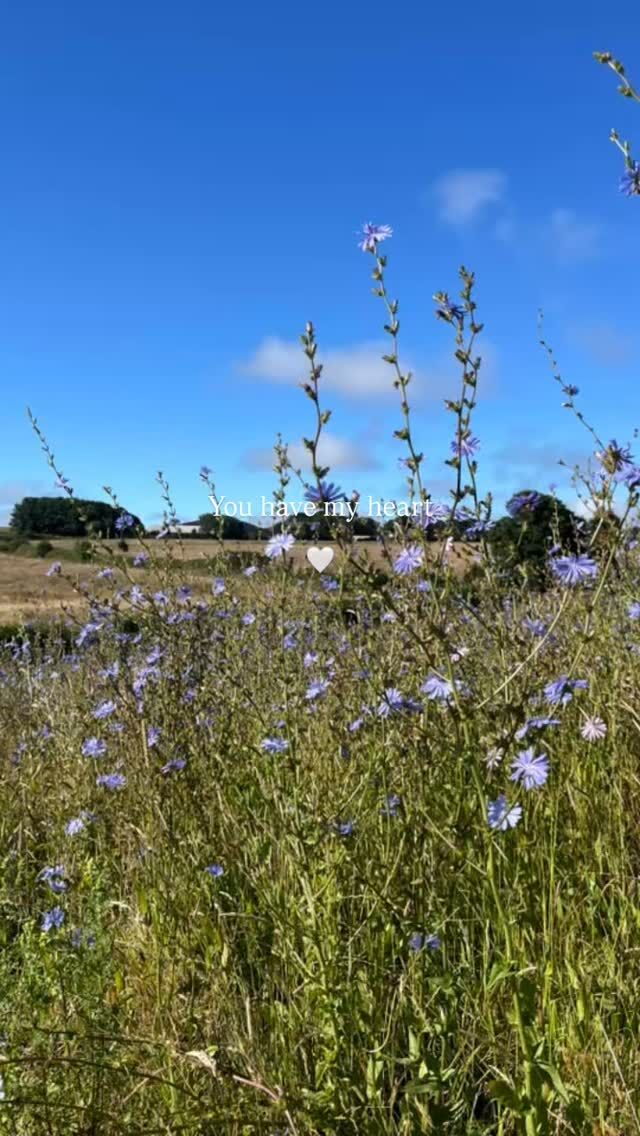 Cornwall you have my heart. How lucky I feel to be able to live in and explore this beautiful place.

🖤 Gool Peran Lowen 💛

#happystpiransday #cornwall #sistersofthesea
