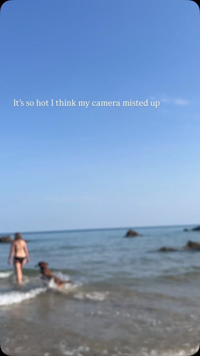Very good at morning dips on a dog walk.

Crap at photography…

Oh well. Lovely little swim this morning until a seagull landed on my bag and I had to leap out of the sea before it flew off with my pants. 

💙🌊

#sistersofthesea #swimming #cornwall #coast #newquay