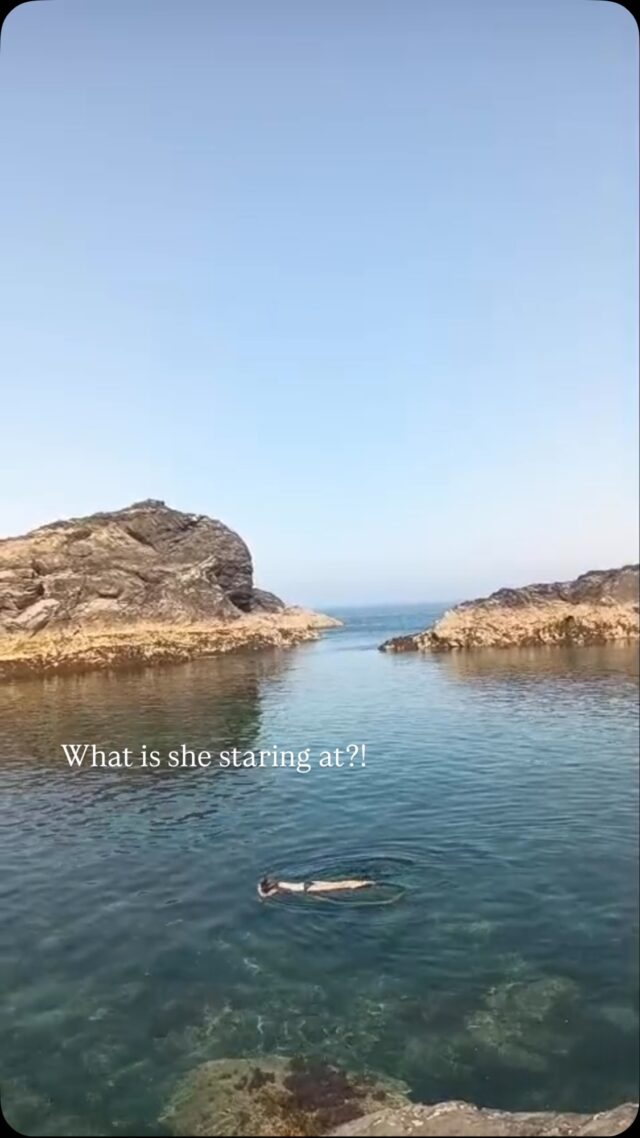 I could watch jellyfish swimming all day🪼 

So many blue jellyfish out where we swam recently, it can be tricky because their tentacles are so long and tiny. 

But they way they move and drift, so serene, it’s mesmerising. 

💙🌊 

#sistersofthesea #jellyfish #swimming #coast #cornwall