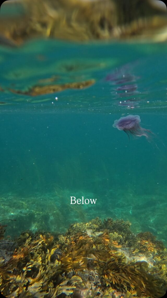 Peepo 👀 

Love this video I caught on a recent swim, feels like flashing between two worlds. 

How lucky I feel to be able to spend time in both. 

💙🌊 

#sistersofthesea #swimmjng #coast #cornwall #underwater