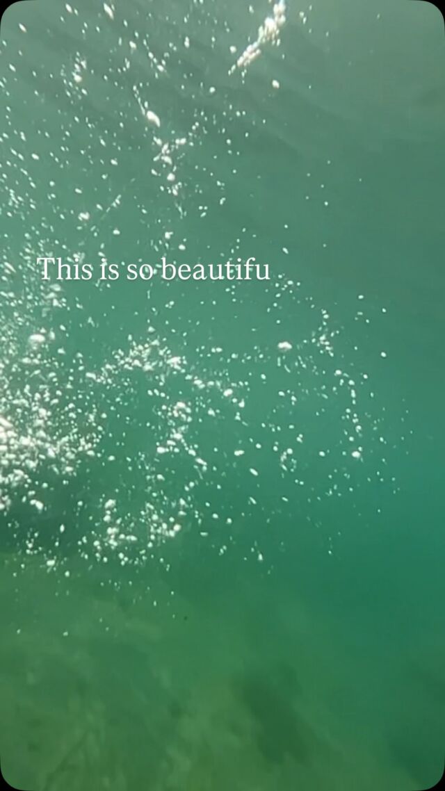 Caught by accident, entranced forever. 

After a busy day on the market, I could watch this on a loop forever 😀

How was your day? Do you need this today?

💙🌊

#swimming #sistersofthesea #coastalliving #cornwall #underwater