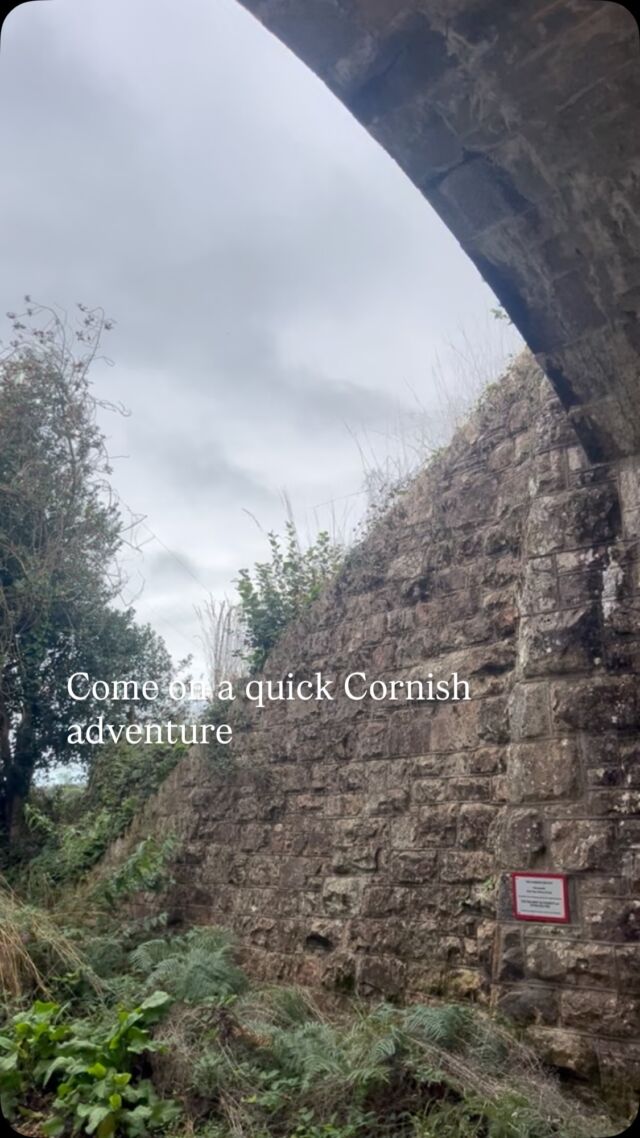 A mini adventure from Frogpool, Cornwall. 

9 miles walked, one bus, one train, four pubs. 

Once dog bowl lost, one poo bag donated. One bus narrowly missed, one extra pint gained as a result. One chat with an antique-loving gent, one never-ending hill that nearly broke us. 

Great little day out! 

💙🌊 

#sistersofthesea #miniadventure #hiking #cornwall #coastalliving