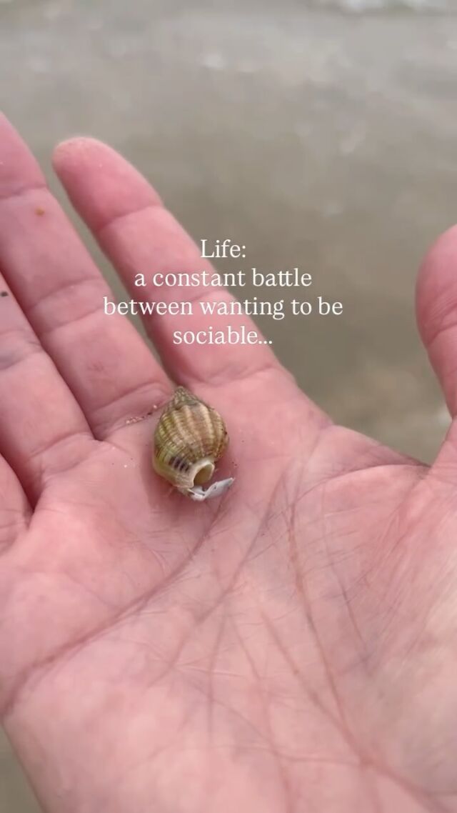 He really wanted to be friends…but on second thoughts…

I totally get it little guy. 😀

💙🌊

#sistersofthesea #notalwayssociable #cornwall #hermitcrab #newquay