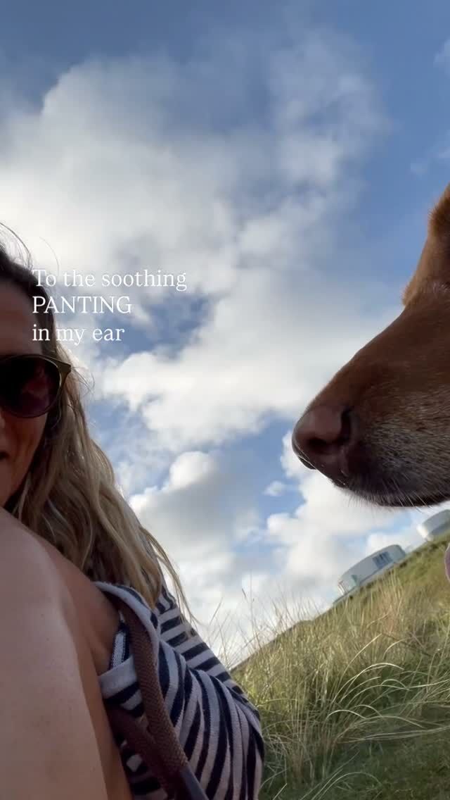 Ah just blissful. Sometimes get a dribble on my leg too. 

Jokes aside, this is my quiet spot. A place to go to reset a little. Pretty spectacular isn’t it. 

Where do you go to fix a funk?

💙🌊 

#sistersofthesea #cornwall #coastalliving #quiettime #redfoxlab