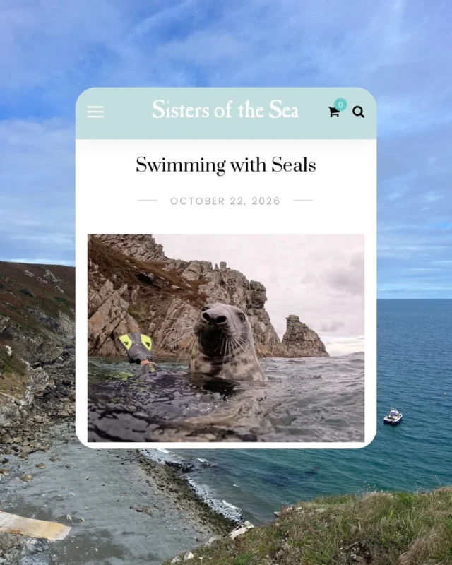Finally got round to adding a blog about our seal swimming adventure. 

Go check it out - and lots of Cornish swim spots there too - for after the storms!

Link in bio ⬆️ 

💙🌊 

#blog #swimmingwithseals #sistersofthesea #coastalliving